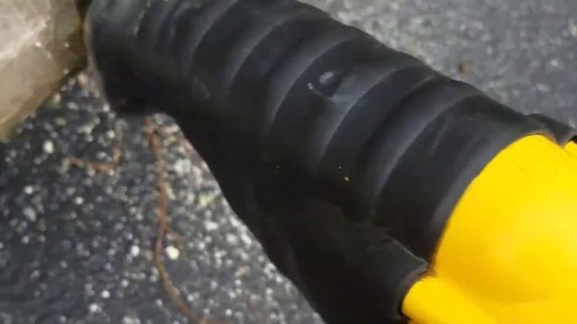 How to cut the trees in the USA | Як я пиляв дерева в Америці