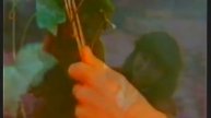 BBC1 | Songs of Praise from Sheffield Cathedral (incomplete) | 16th March 1997 | NICAM stereo
