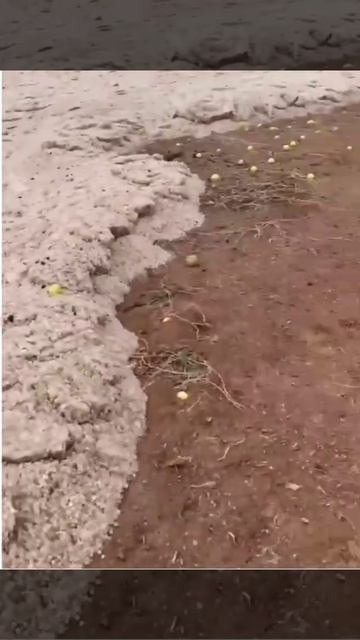 В Ираке песок двигается как вода.