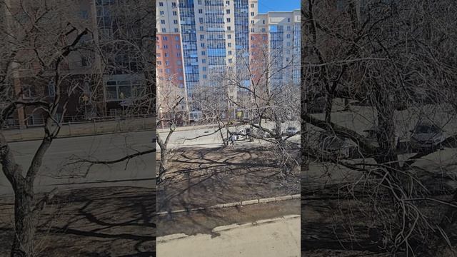 Обзор квартиры Белинского