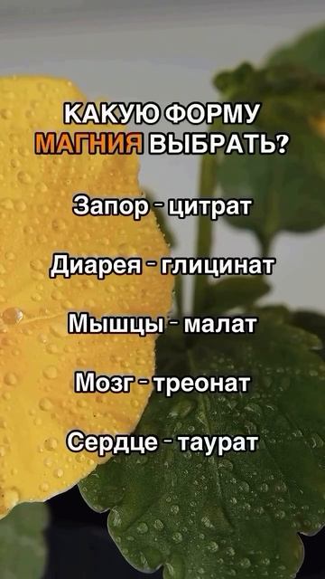 Какую форму магния выбрать