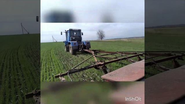 подкормка озимой пшеницы Луганская область
