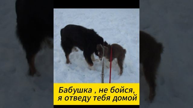 Арси о себе