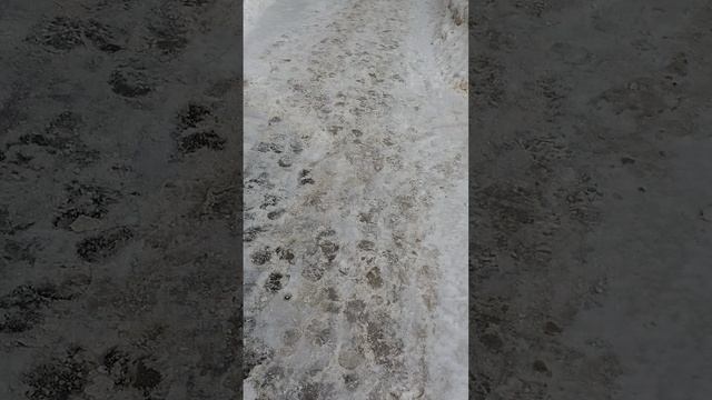 7 марта 2025 г., 10:48:06
ул. Газеты Звезда
VID_20250307_104510411