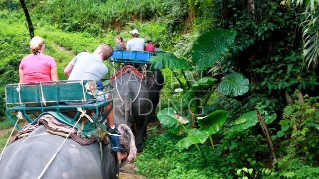 Asia Safari Khao Lak Tour