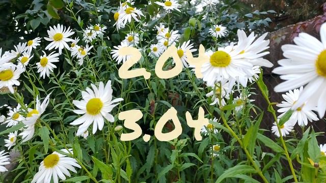 Лунный календарь для цветовода с31.03-6.04.25г.