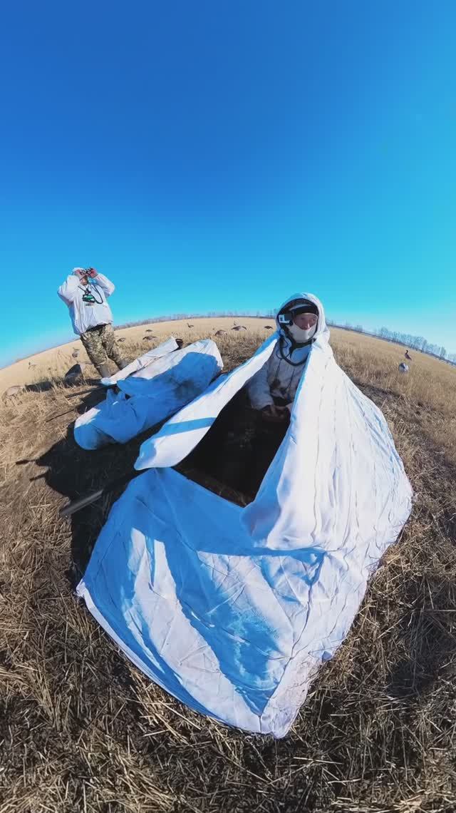 Охота на гуся / Угробили каракат