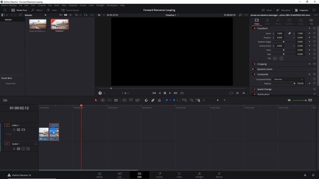 Forward/Reverse Looping Video Effect in Davinci Resolve