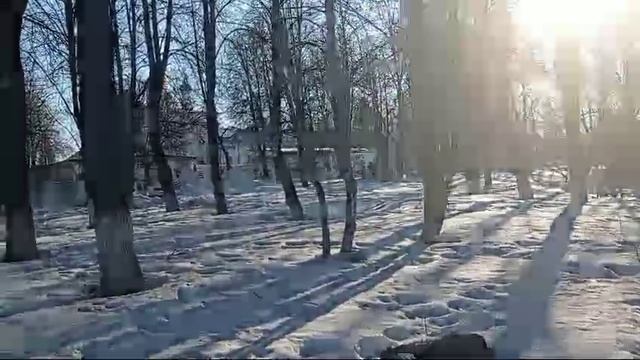 Progulka w Parke Walking in the forest
