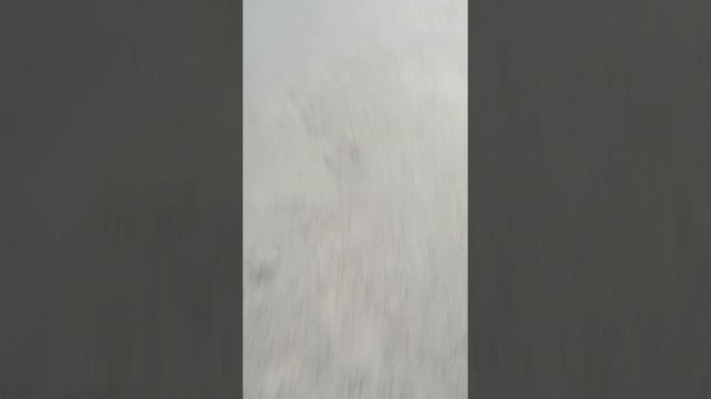 1000007479.mp4