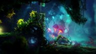 #5 Ori and the Blind Forest - Definitive Edition (One Life) No Damage 100% Walkthrough (Naru's Past)