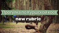 Куршская коса: Прогулки по Калининградской области