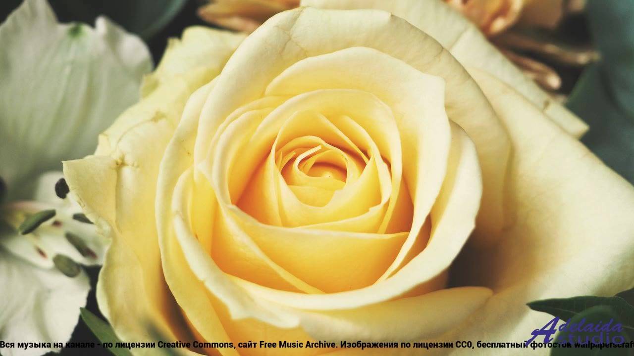 ✸ ♫ ❤ Суперская композиция для релакса Summer Music (Medium 2 Version) -- BoDleasons -- Happy Music