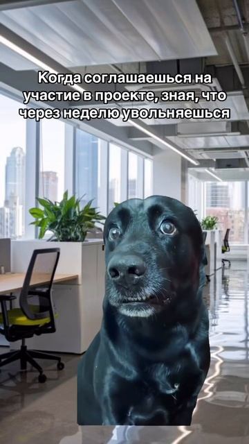 Если знаешь, что увольняешься
