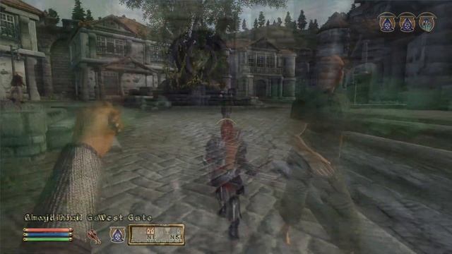 Every oblivion player dreams about it
