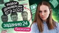 ⚡️РАЗБОР 24 задания из ДЕМОВЕРСИИ | ЕГЭ БИОЛОГИЯ 2025