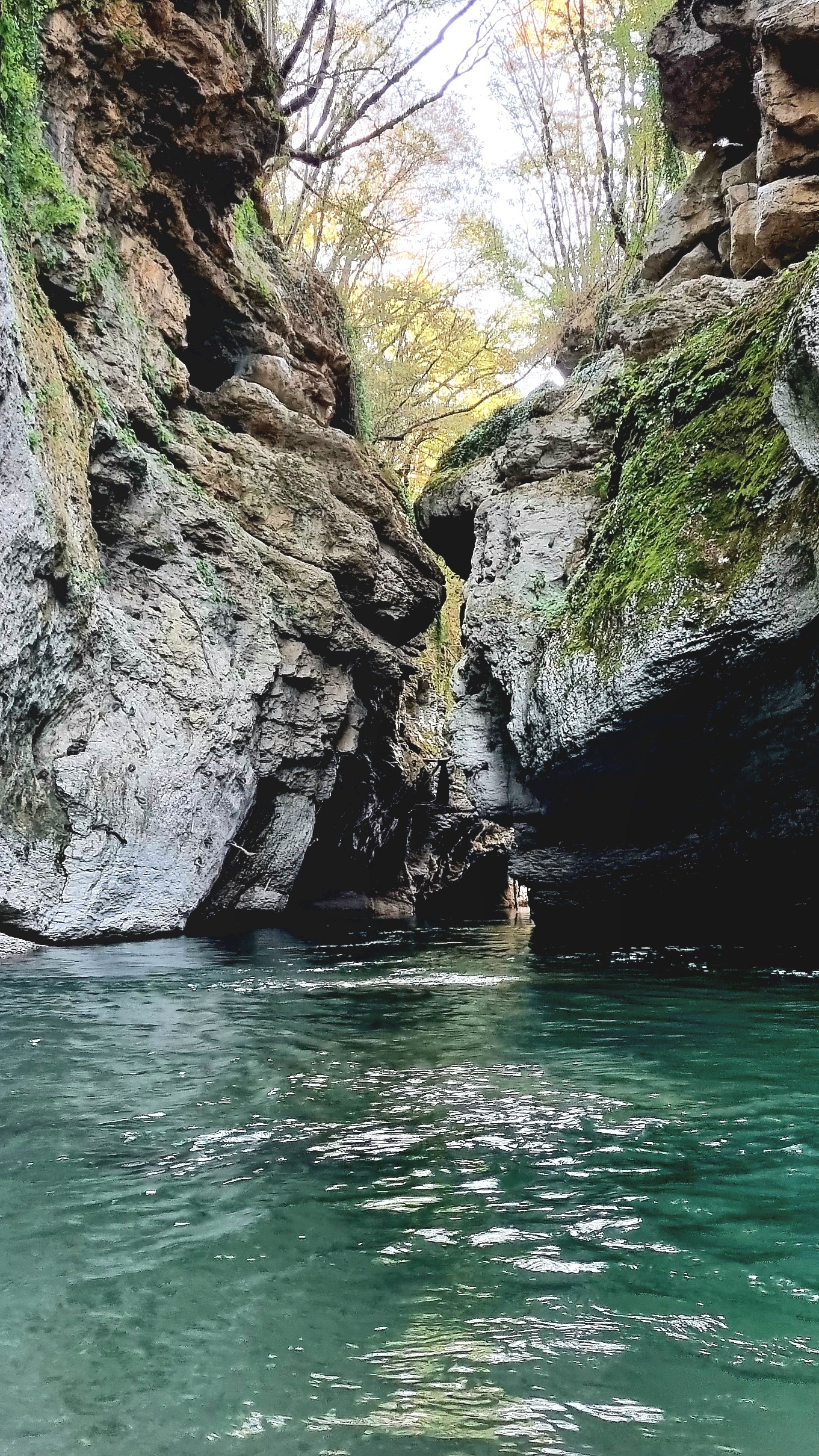 ✅️ Тайны Горной🏔 Адыгеи🤫🤩🏞 #горы #природа #путешествия #приключения #отдыхвгорах #shorts #nature