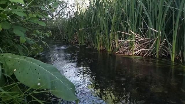 Квадропрогулка и форель в тандыре