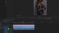 viral HDR & Brown color video editing in Premire Pro #alightmotion #xml