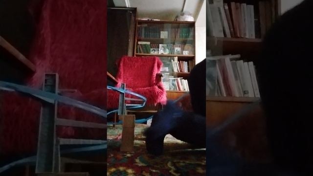 обзор на трек Дасти самолёты огонь и вода