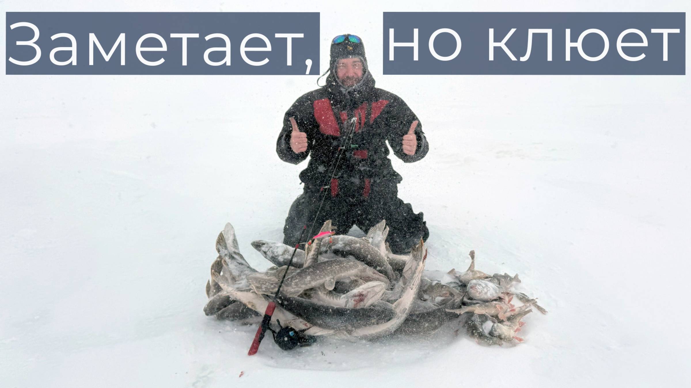 Заметает, но клюет DF 88