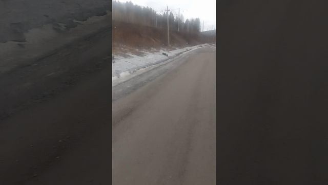 VID_20250331_090512.mp4