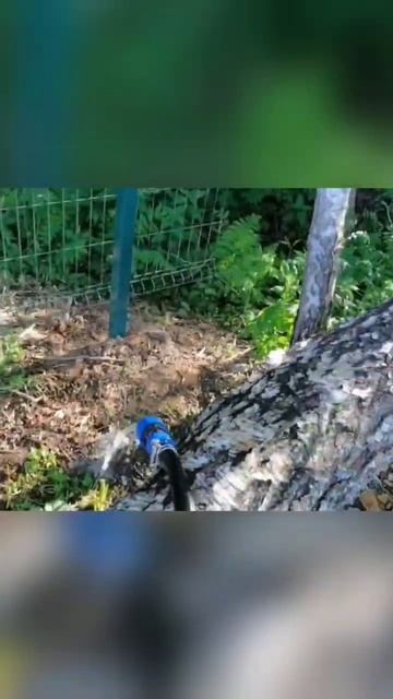 бурение абиссинской скважины