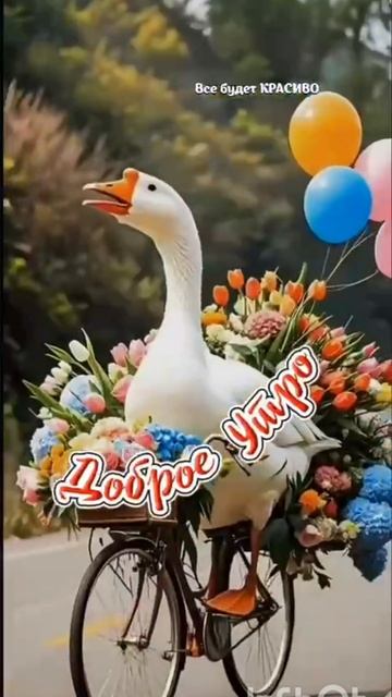 Навстречу утру !😀😊😊😊🌺🌸🌷💐