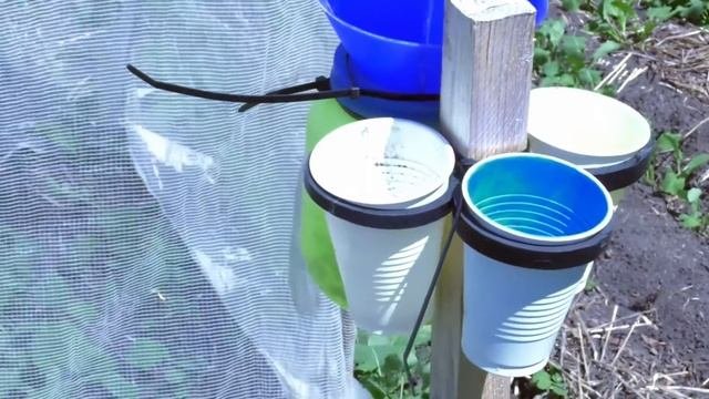 Applied Research | Beneficial Insects in Reservoir Habitats, and Their Contribution to Canola Yield