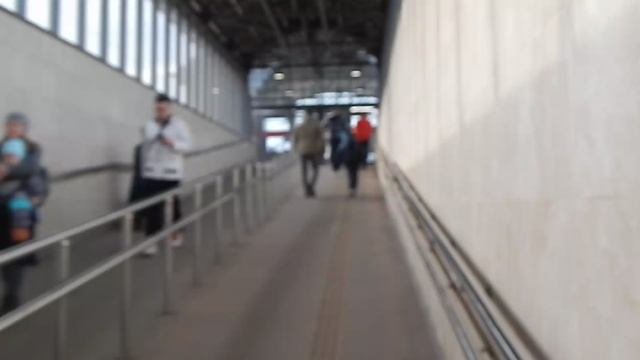 30 03 2025. DSCN5845