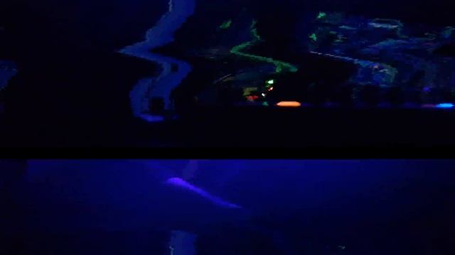 Mutant Star Live at Faval Music Circus (psychedelic trance)