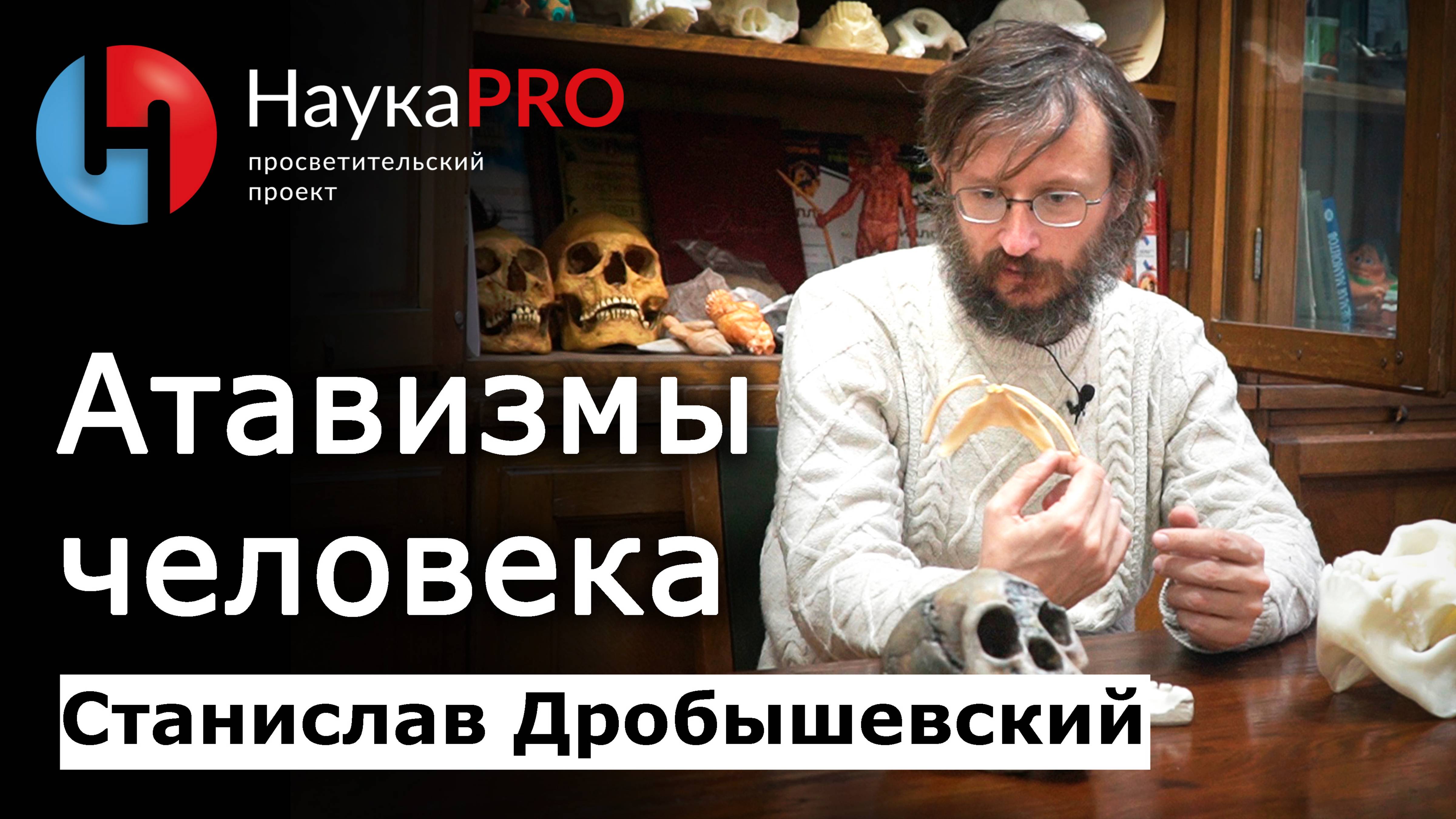 Атавизмы человека – Станислав Дробышевский | Лекции по антропологии | Научпоп