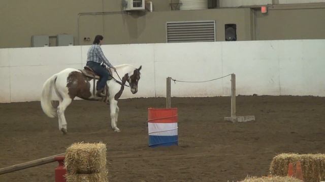 Karen Dunnill: London All Equine Finals