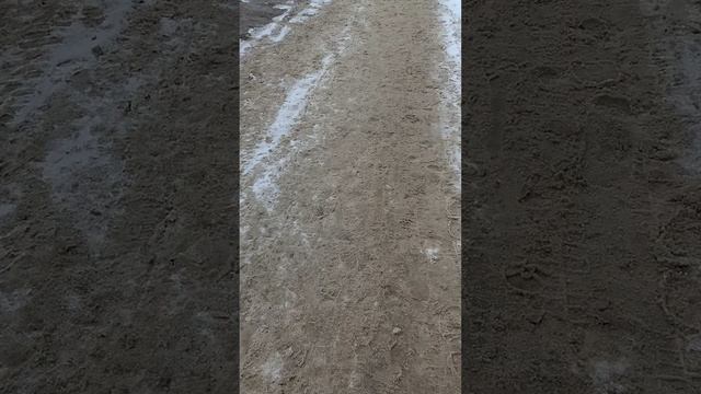 5 марта 2025 г., 14:58:13
Двор Г. Звезда 73 - Красноармейская 52
VID_20250305_145619646