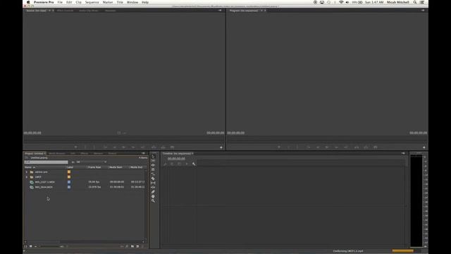How to Import and Organize media  in Adobe Premiere Pro