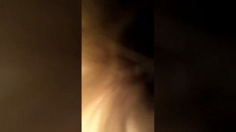 Кот на районе! Видео кошачьих разборок от первого лица