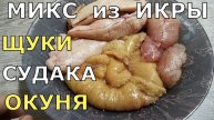 Как солить ИКРУ. Делаем МИКС из ИКРЫ ЩУКИ, СУДАКА и ОКУНЯ.