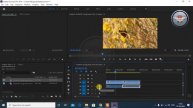 Timeline - Adobe Premiere Pro CC Class 5 - Hindi ►S.P