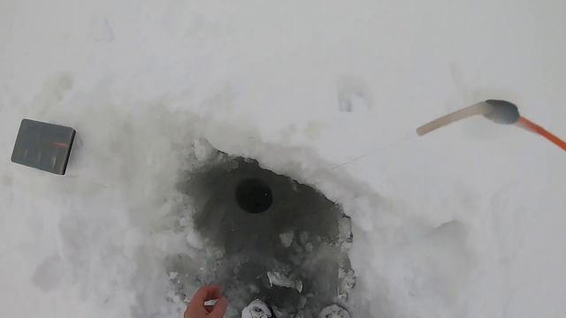 Жизнь в тайге зимой. Часть 1