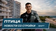 Комплекс Птица: новости со стройки | Март 2025