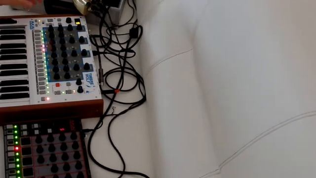"Groundloops" Timbre & Rhythm Wolf mix