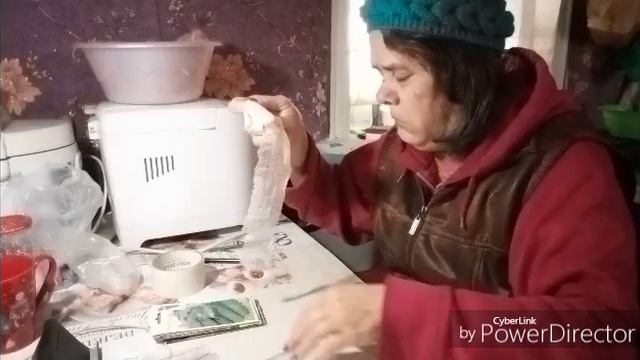 Какие огурцы планирую посеять в этом году.