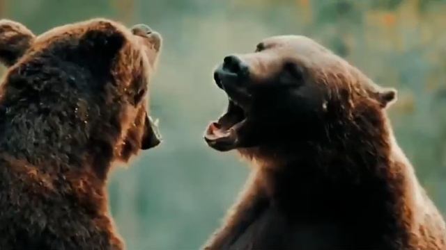 Труба будет вам стопудово! 🔥- Вика Цыганова
