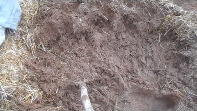 6 день поднимаем стены