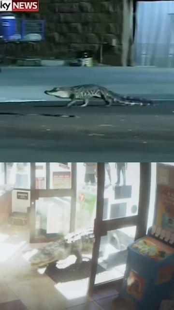 GTA 6 REAL LIFE VS TRAILER !