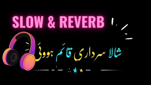 shala sardari kaim hoi   (Slowed Reverb)Musafir Tedy Watna Tu  Saraiki Song Lofi