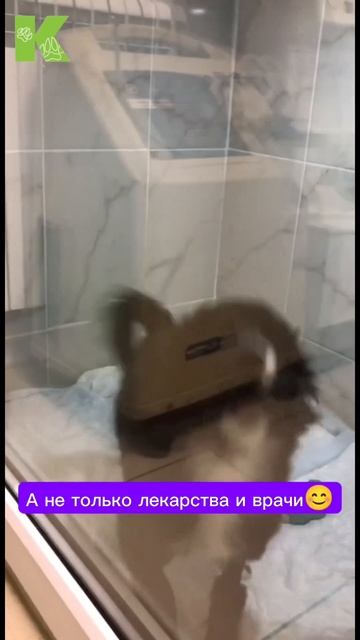 Лечит внимание и забота💚