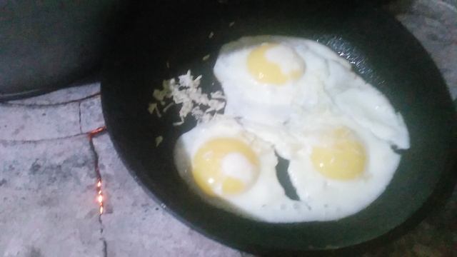 VID_20250331_075319