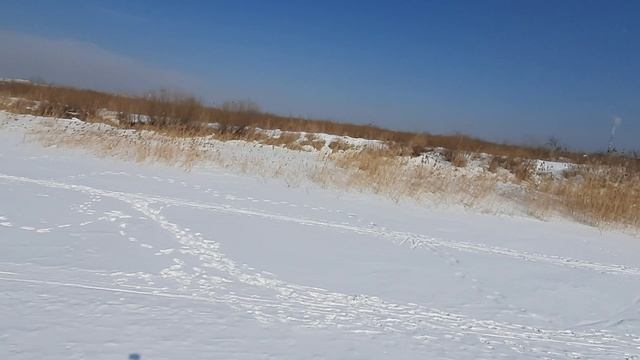 8.03.25г прогулка на озеро