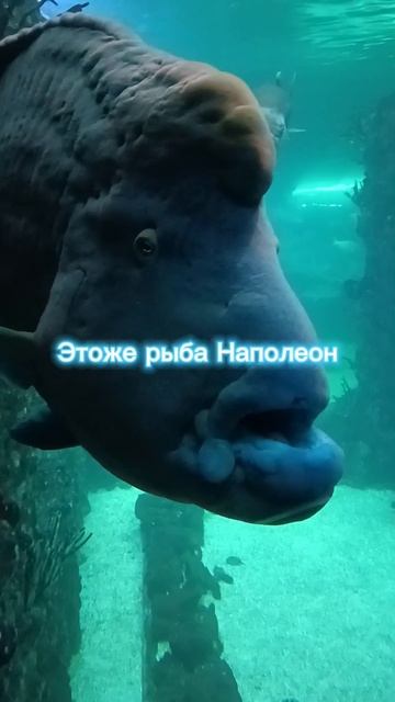 Угодал